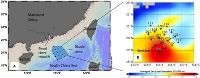 Hotspot of Organic Carbon Export Driven by Mesoscale Eddies in the Slope Region of the Northern South China Sea